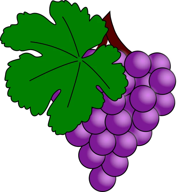 a bunch of grapes with a green leaf, a digital rendering, inspired by Masamitsu Ōta, !!! very coherent!!! vector art, screen cap, ((purple)), ms paint drawing