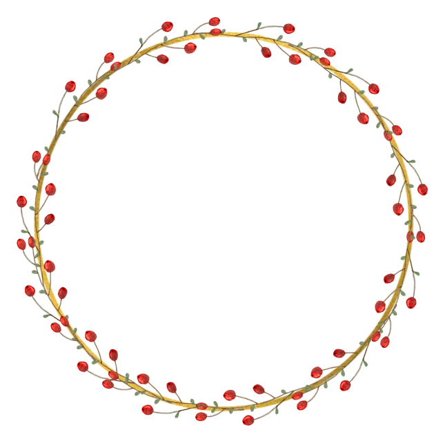 a wreath of red berries on a black background, a digital rendering, by Brenda Chamberlain, art deco, 14k gold wire, 1 0 0 0 mm, fairy circle, border