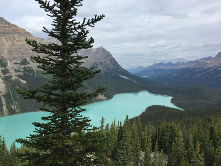 a large body of water sitting in the middle of a forest, by Brigette Barrager, looking down at the valley, turqouise, cory chase, f / 2 0