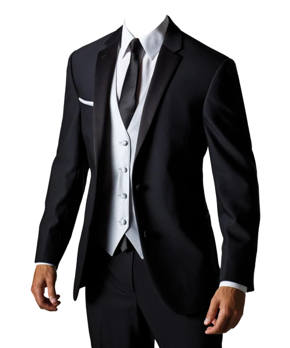 a man in a tuxedo poses for a picture, a digital rendering, renaissance, three piece suit, black background!!!!!, clothing photography, caparisons