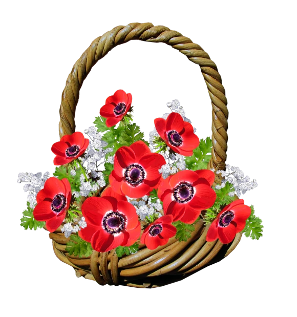 a basket filled with red and white flowers, a digital rendering, pixabay contest winner, anemones, the background is black, wicker art, very beautiful photo