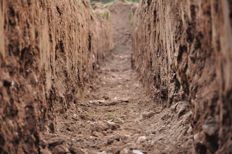 a narrow dirt path in the middle of a forest, a portrait, flickr, trenches, ground perspective; detailed, wet clay, 3 5 mm photo