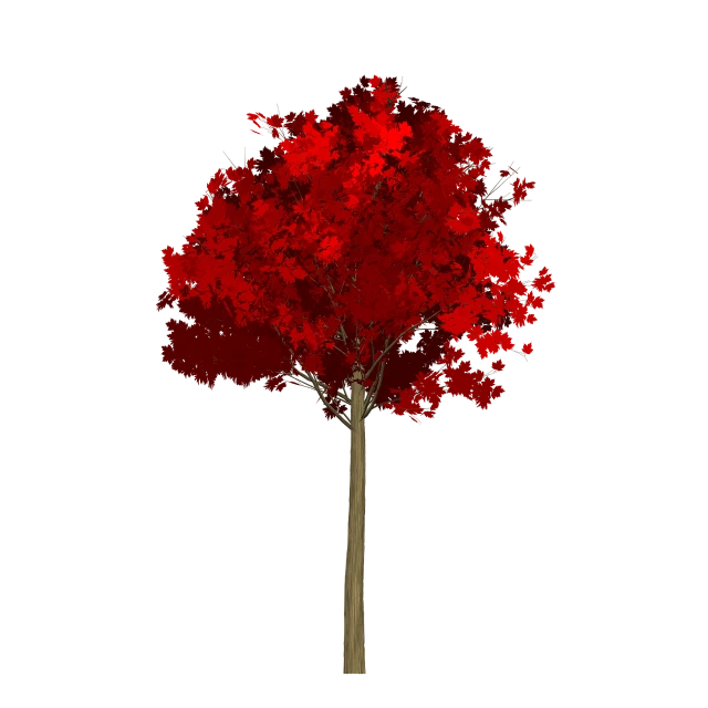 a tree with red leaves on a black background, a raytraced image, polycount, conceptual art, monochrome and red color bleed, colored accurately, illustration, a wooden