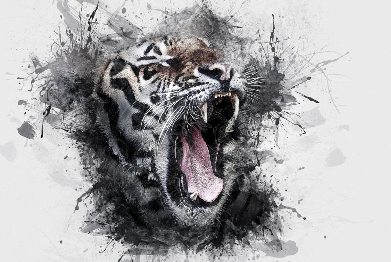 a close up of a tiger with its mouth open, an airbrush painting, inspired by Augustin Meinrad Bächtiger, shutterstock, ink splatter, on a gray background, painterly illustration, high detail illustration