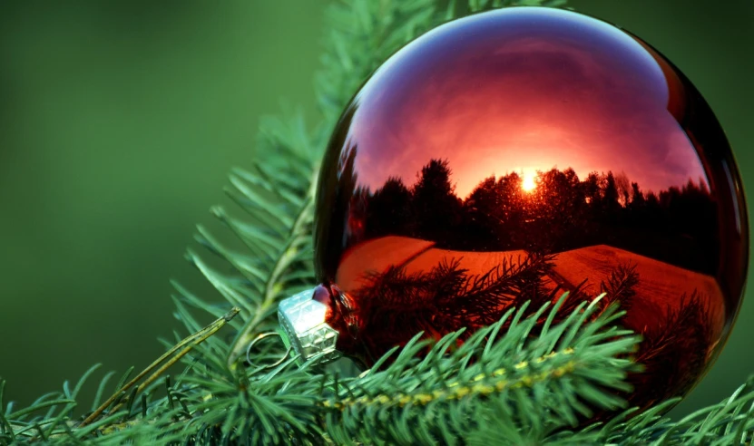 a close up of a christmas ornament on a tree, a picture, by Stefan Gierowski, setting sun, mirror and glass surfaces, hd wallpaper, green and red