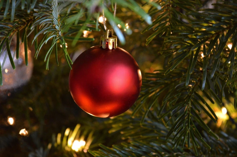 a red ornament hanging from a christmas tree, by Maksimilijan Vanka, file photo, - h 1 0 2 4, uplit, realistic