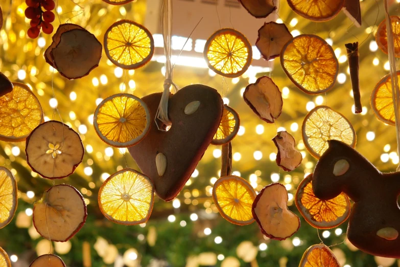 a bunch of dried orange slices hanging from strings, process art, warm lighting inside, year 2 8 6 6, hearts, carousel