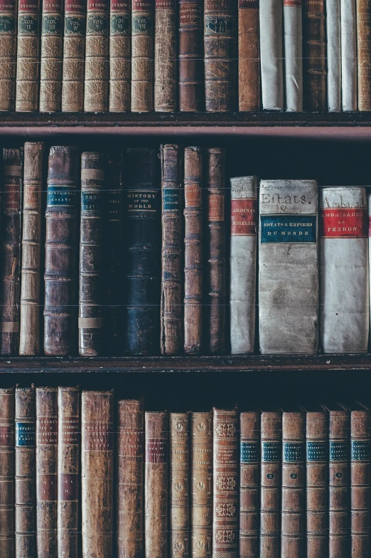 a bookshelf filled with lots of old books, roman historic works, shot on leica sl2, aged and weathered, interior of a library