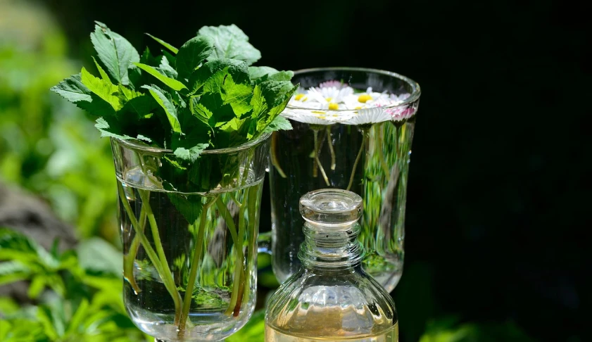 a glass vase filled with flowers next to a bottle of water, by Dietmar Damerau, pixabay, mint leaves, aspic, plants in glasses, absinthe