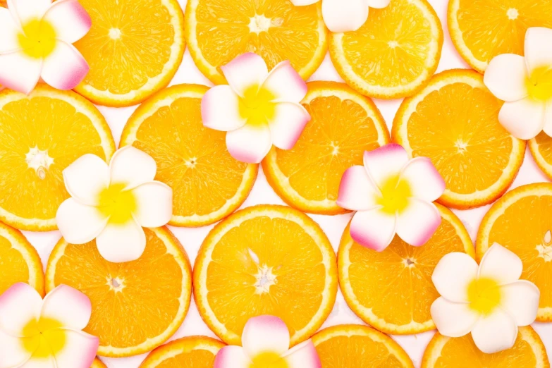 a bunch of orange slices with flowers on them, a stock photo, by Tadashi Nakayama, minimalism, tropical background, full of colour 8-w 1024, warm beautiful scene, background is white