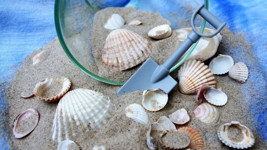 a shovel sitting on top of a pile of shells, large terrarium, beach setting, closeup - view, recipe