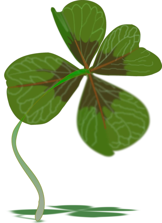 a four leaf clover on a black background, a digital painting, inspired by Masamitsu Ōta, deviantart contest winner, hurufiyya, by :5 sexy: 7, lineless, phone photo, wikihow illustration