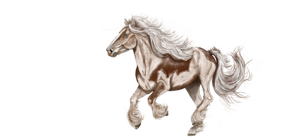 a close up of a horse on a black background, a digital painting, inspired by John Frederick Herring, Jr., digital art, flowing white hair, galloping, steampunk horse, !!! very coherent!!! vector art