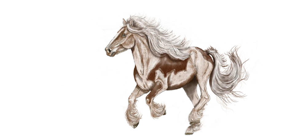 a close up of a horse on a black background, a digital painting, inspired by John Frederick Herring, Jr., digital art, flowing white hair, galloping, steampunk horse, !!! very coherent!!! vector art