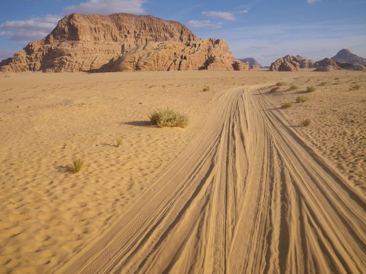 a dirt road in the middle of a desert, a picture, by Richard Carline, les nabis, wadi rum, tyre mark, fine line work, tengri