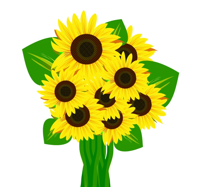 a bouquet of sunflowers with green leaves, an illustration of, by Maki Haku, shutterstock, simple and clean illustration, full color illustration, computer - generated, flat illustration