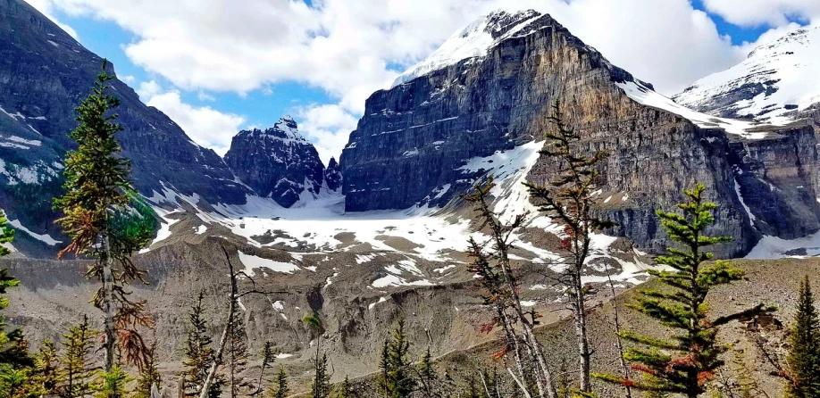 a snow covered mountain with trees in the foreground, sharp cliffs, canada, mountains of ice cream, high details!