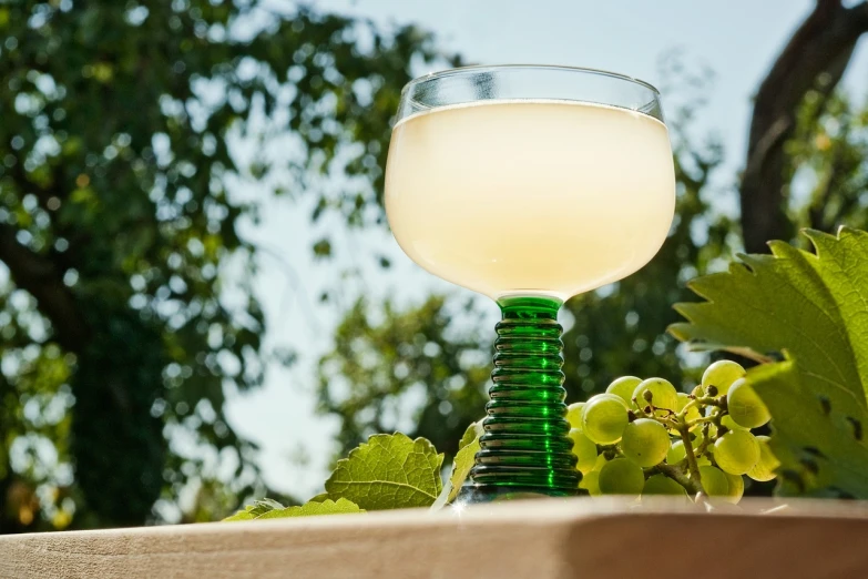 a glass of wine sitting on top of a table, renaissance, midsommar style, absinthe, translucent grapes, moringa juice