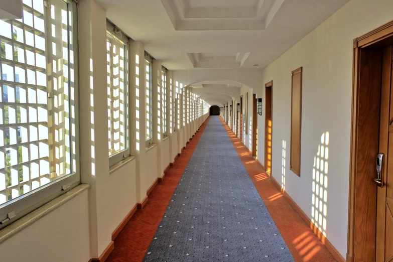 a long hallway lined with wooden doors and windows, inspired by Maximilien Luce, shutterstock, bauhaus, turkey, modern high sharpness photo, carpet, stock photo