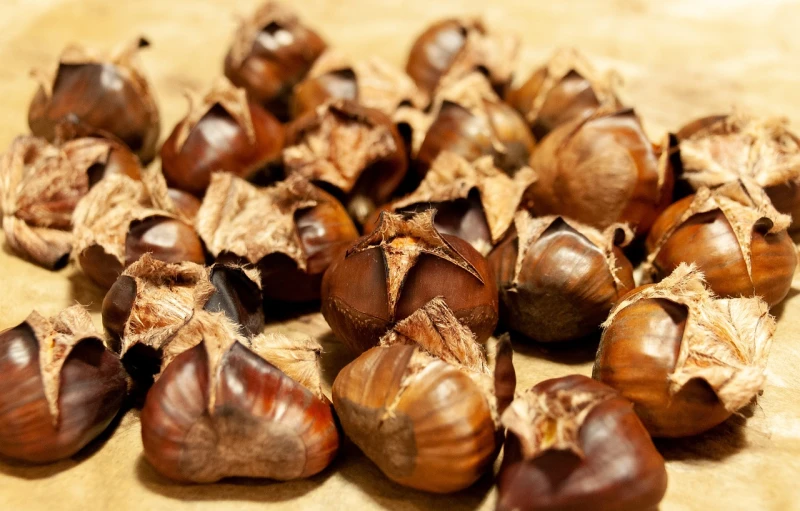 a bunch of nuts sitting on top of a table, a macro photograph, hurufiyya, on old parchment, chestnut hair, close-up product photo, hatched pointed ears