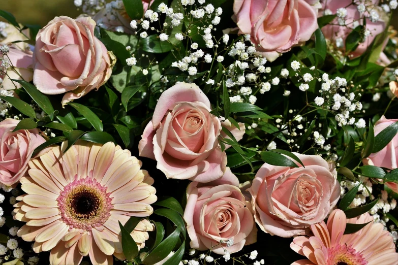 a bouquet of pink roses and baby's breath, extra detail, detaling, award - winning, in shades of peach