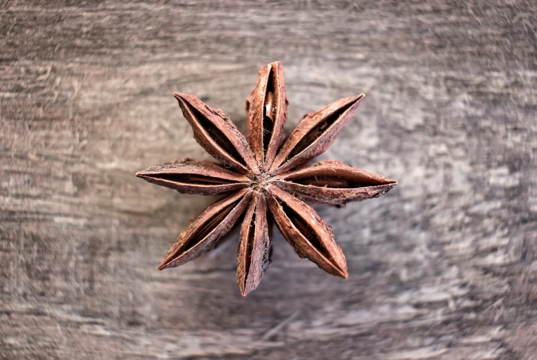 a star anise on a wooden surface, renaissance, close-up product photo, highly detailed product photo, viewed from above, miniature product photo