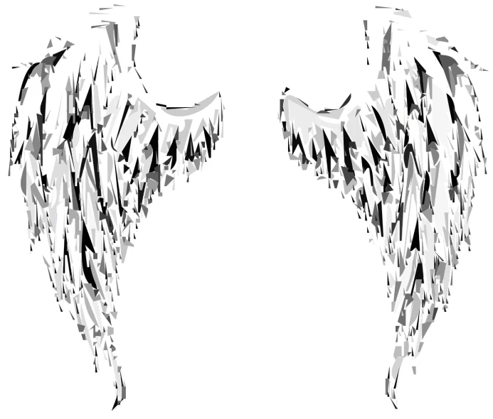 two black and white wings on a white background, trending on pixabay, grunge art, 2 d cg, full of paintings of angels, ink style