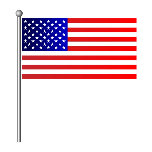 an american flag on a pole on a black background, flickr, digital art, made in adobe illustrator, screen cap, document, 2 5 6 x 2 5 6 pixels