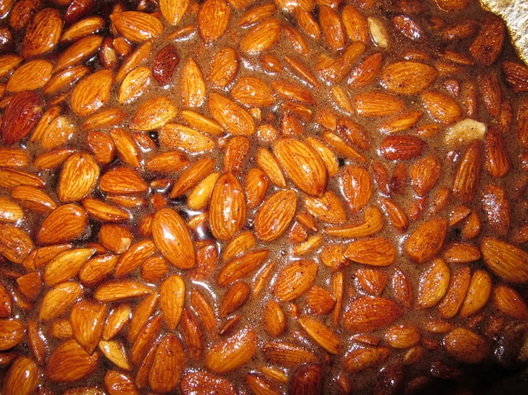 a close up of a pan filled with almonds, dau-al-set, masterpiece ”, in oil”