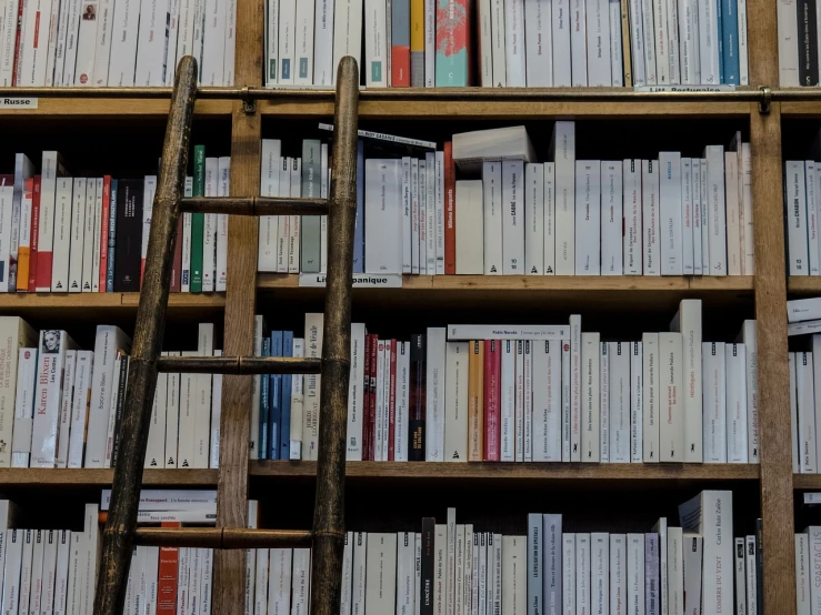 a ladder leaning against a bookshelf filled with books, a picture, unsplash, figuration libre, vito acconci, cronenberg bookshop, herge, ernst haekel