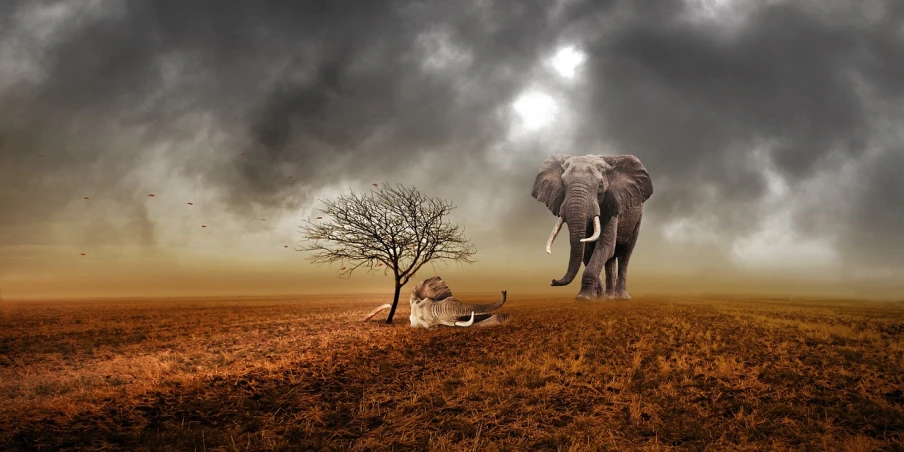 an elephant standing in a field next to a tree, inspired by Igor Morski, trending on pixabay, surrealism, mobile wallpaper, unhappy, 2 animals, high quality fantasy stock photo