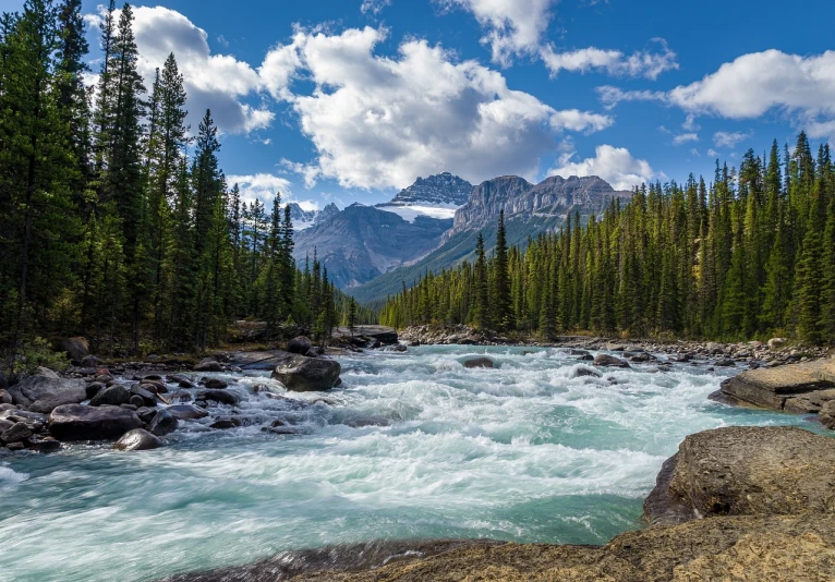 a river flowing through a lush green forest filled with trees, by Raymond Normand, shutterstock, rocky mountains in background, sandfalls, harmony of swirly clouds, glacier