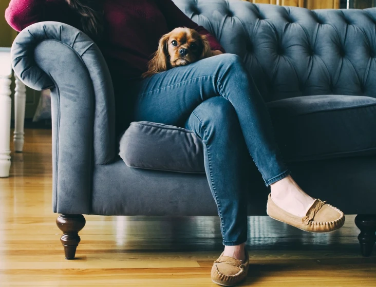 a woman sitting on a couch with a dog, a stock photo, by Christen Dalsgaard, tight denim jeans, cavalier king charles spaniel, warm colored furniture, legs intertwined