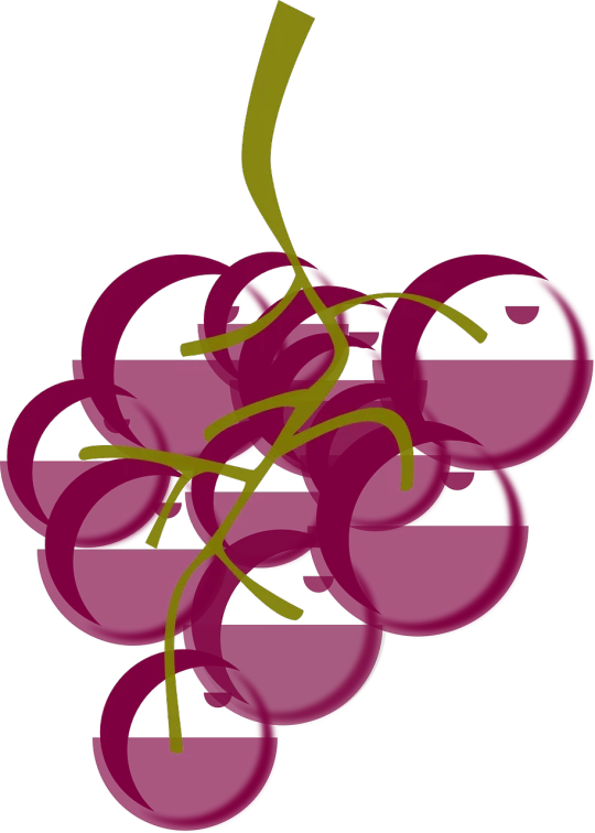a bunch of grapes sitting on top of each other, a digital rendering, inspired by Patrick Caulfield, art nouveau, raspberry, logo without text, [ conceptual art ]!!, screen cap