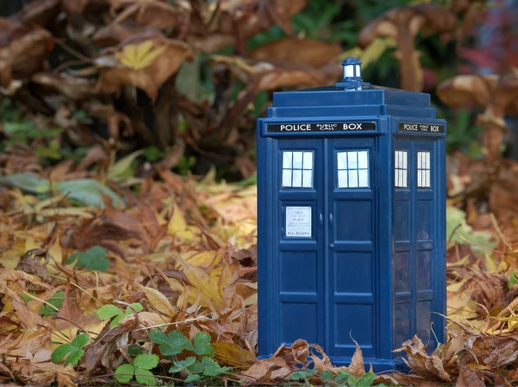 a blue police box sitting on top of a pile of leaves, a picture, by Dave Allsop, pixabay, replica model, mike tomlin as doctor who, outside of time and space, scale model photography