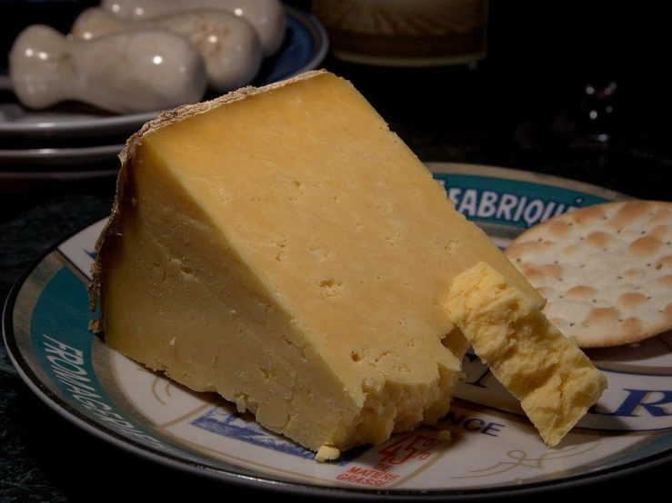 a piece of cheese on a plate with crackers, a portrait, by Alexander Robertson, flickr, celtic, long snout, soft, shaded