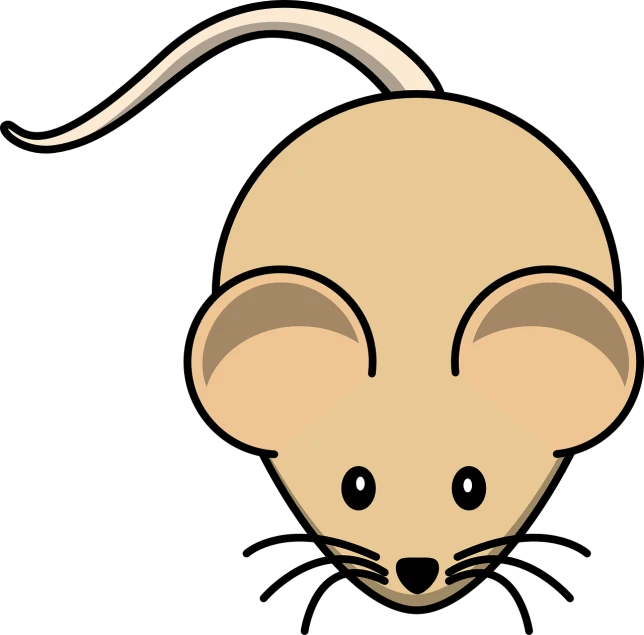 a close up of a mouse's head on a black background, an illustration of, mingei, cartoon style illustration, brown tail, svg illustration, computer generated