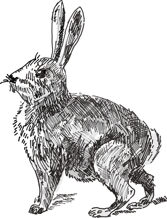 a black and white drawing of a rabbit, a digital rendering, inspired by William Kentridge, ascii art, pen and ink work. sharp focus, on black background, and what rough beast, colored screentone