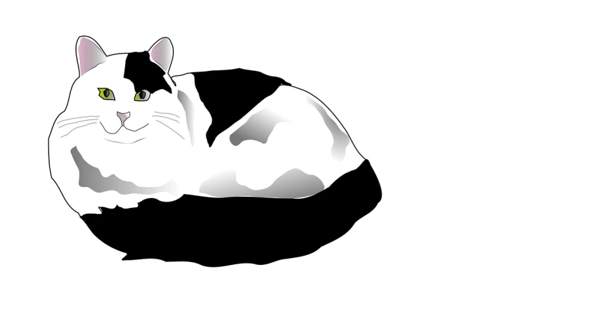 a black and white cat is laying down, a drawing, pixabay, minimalism, digitally colored, smooth oval head, there is full bedpan next to him, cell shaded!!!