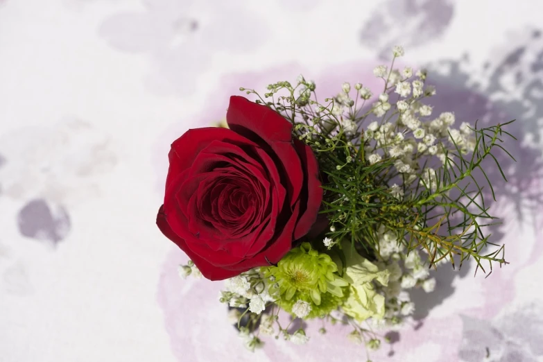 a red rose sitting on top of a white table, inspired by François Boquet, romanticism, gypsophila, closeup - view, lapel, 3 4 5 3 1