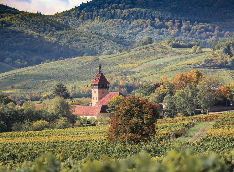 a church sitting on top of a lush green hillside, a photo, by Ulrich Leman, shutterstock, romanesque, autumn foliage in the foreground, wine, well edited, portrait image