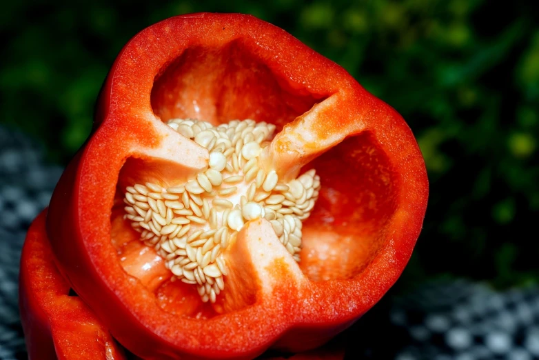 a close up of a red pepper cut in half, a macro photograph, by Jan Rustem, pexels, hurufiyya, luscious patty with sesame seeds, 1 6 9 5, unknown artist, crows feet