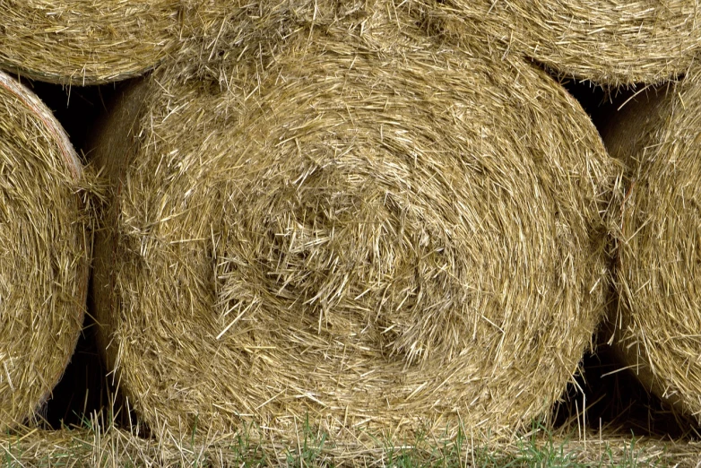 a pile of hay sitting on top of a grass covered field, shutterstock, flat texture, curled perspective, b - roll, hd —h 1024