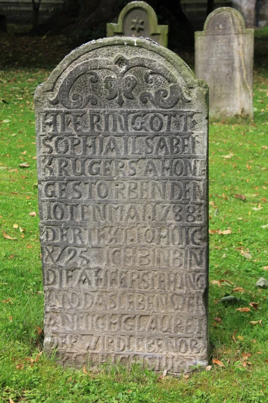 a tombstone sitting on top of a lush green field, an engraving, inspired by Sigrid Hjertén, flickr, graffiti, aged 2 5, prussia, with names, astonishing detail