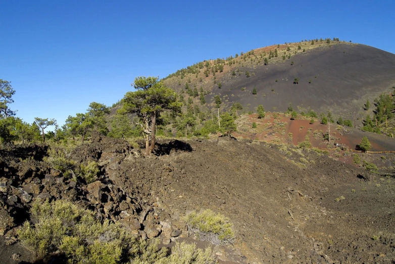 a hill with a few trees on top of it, by Linda Sutton, flickr, mingei, lava field, black mesa, single pine, craters