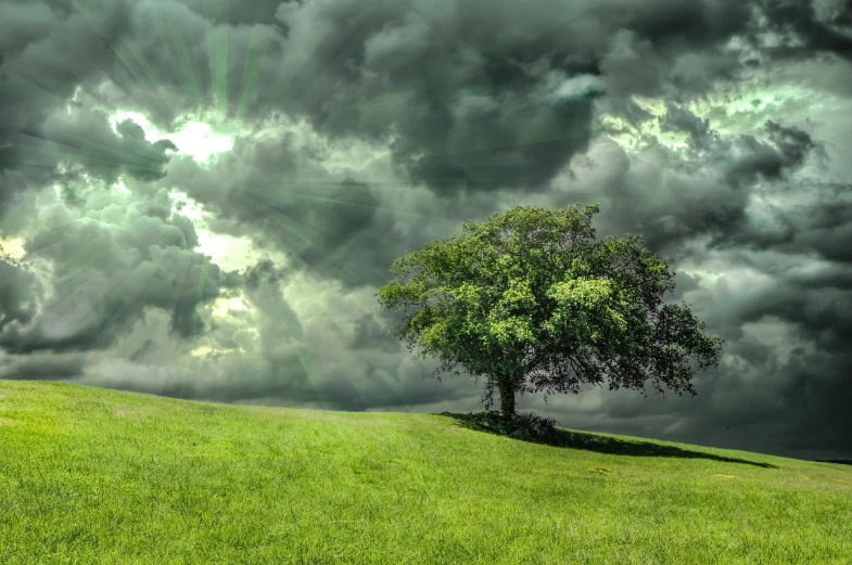 a lone tree sitting on top of a lush green field, a picture, surrealism, sun after a storm, dark stormy clouds, beautiful wallpaper, some green