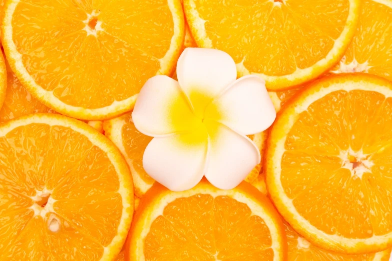 a white flower sitting on top of a pile of orange slices, a screenshot, by Tadashi Nakayama, shutterstock contest winner, hurufiyya, tropical fruit, !!natural beauty!!, full of colour 8-w 1024, plumeria