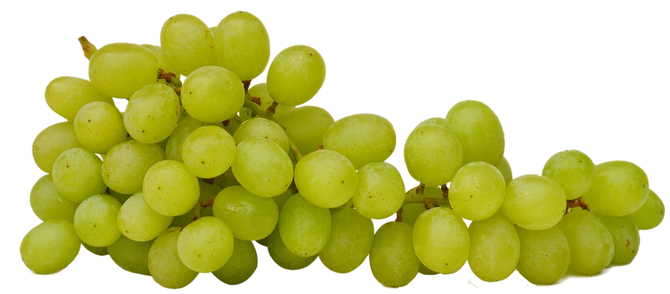 a bunch of green grapes on a black background, by Emanuel de Witte, pixabay, ultrafine detail ”, round-cropped, version 3, cream