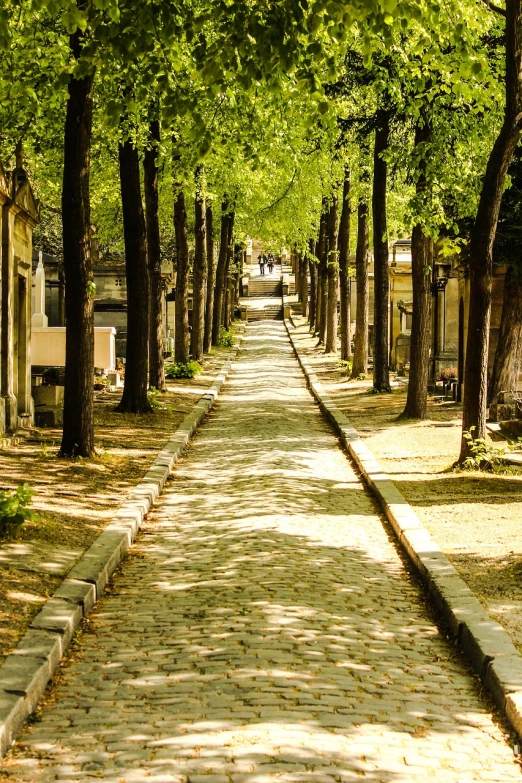 a cobblestone street lined with trees and benches, a photo, by Joseph-Marie Vien, shutterstock, walk in a funeral procession, les catacombes, summertime, sparsely populated