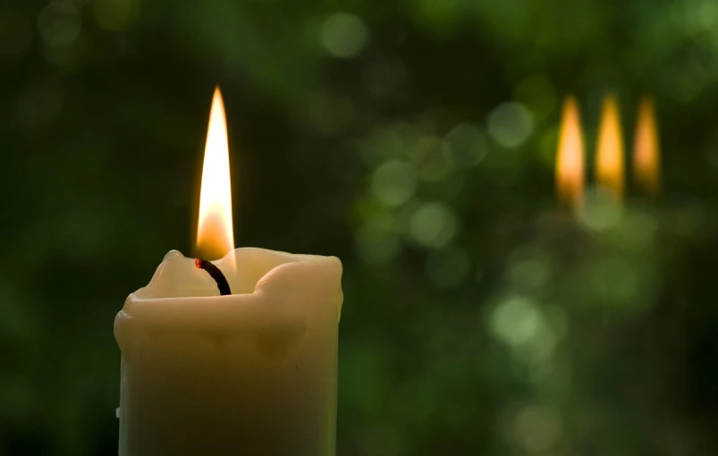 a lit candle sitting on top of a table, a picture, by Jan Rustem, profile picture 1024px, at gentle dawn green light, white candles dripping wax, profile picture